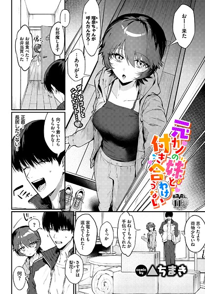 B472abnen03733pl