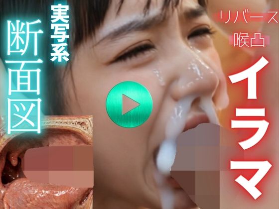 D 771628pl