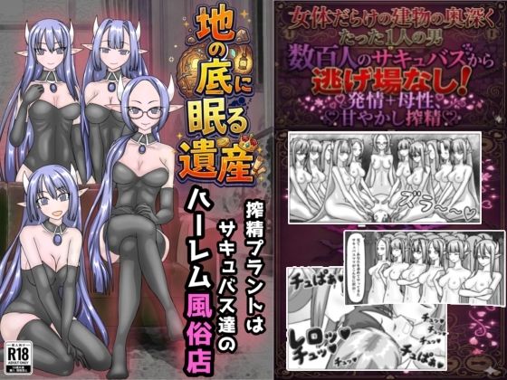 D 775885pl