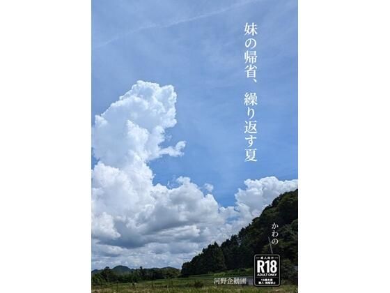D 779667pl