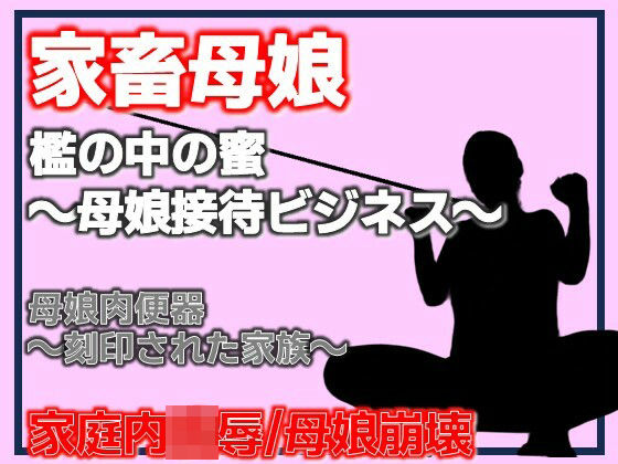 D 781371pl