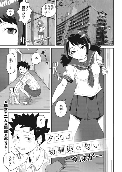 S011akamj00733pl
