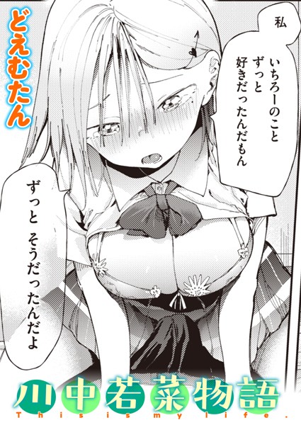B915awnmg02062pl