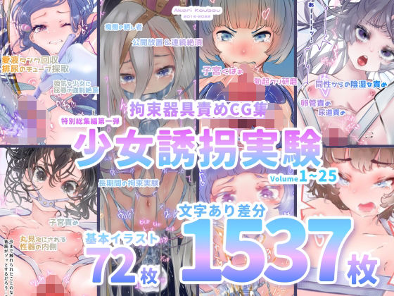 D 262745pl