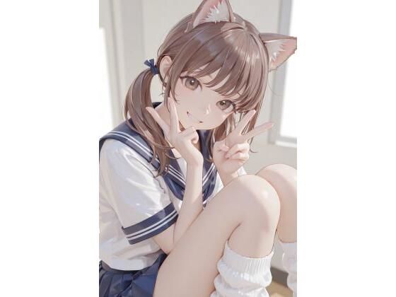D 786355pl