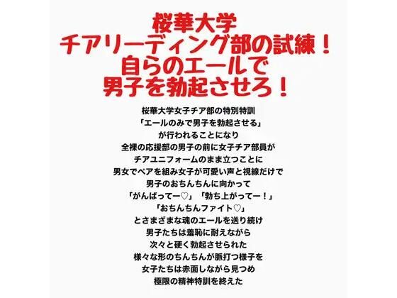 D 789033pl