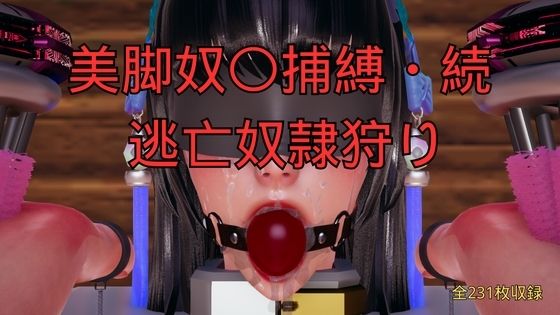D 794188pl