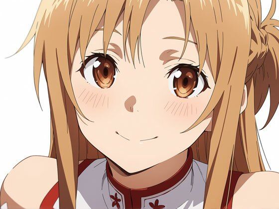D 795229pl