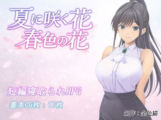 D 795523pl